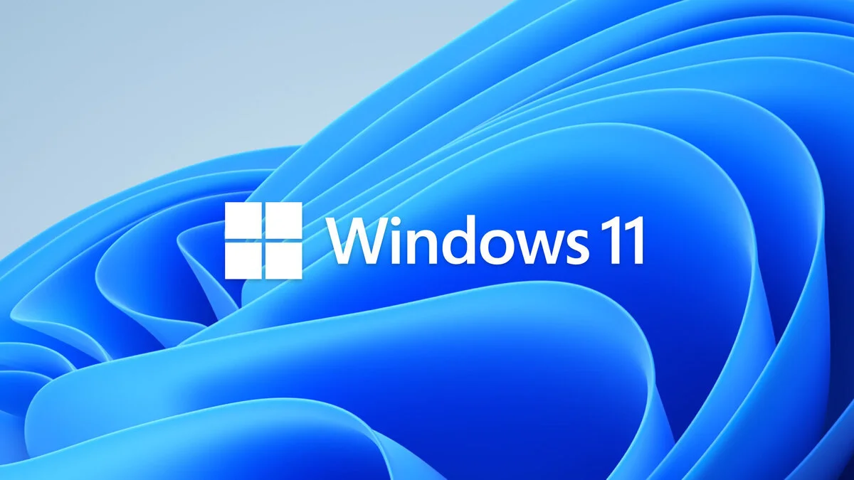 windows-11-logo-bloom-100894262-large.jpg